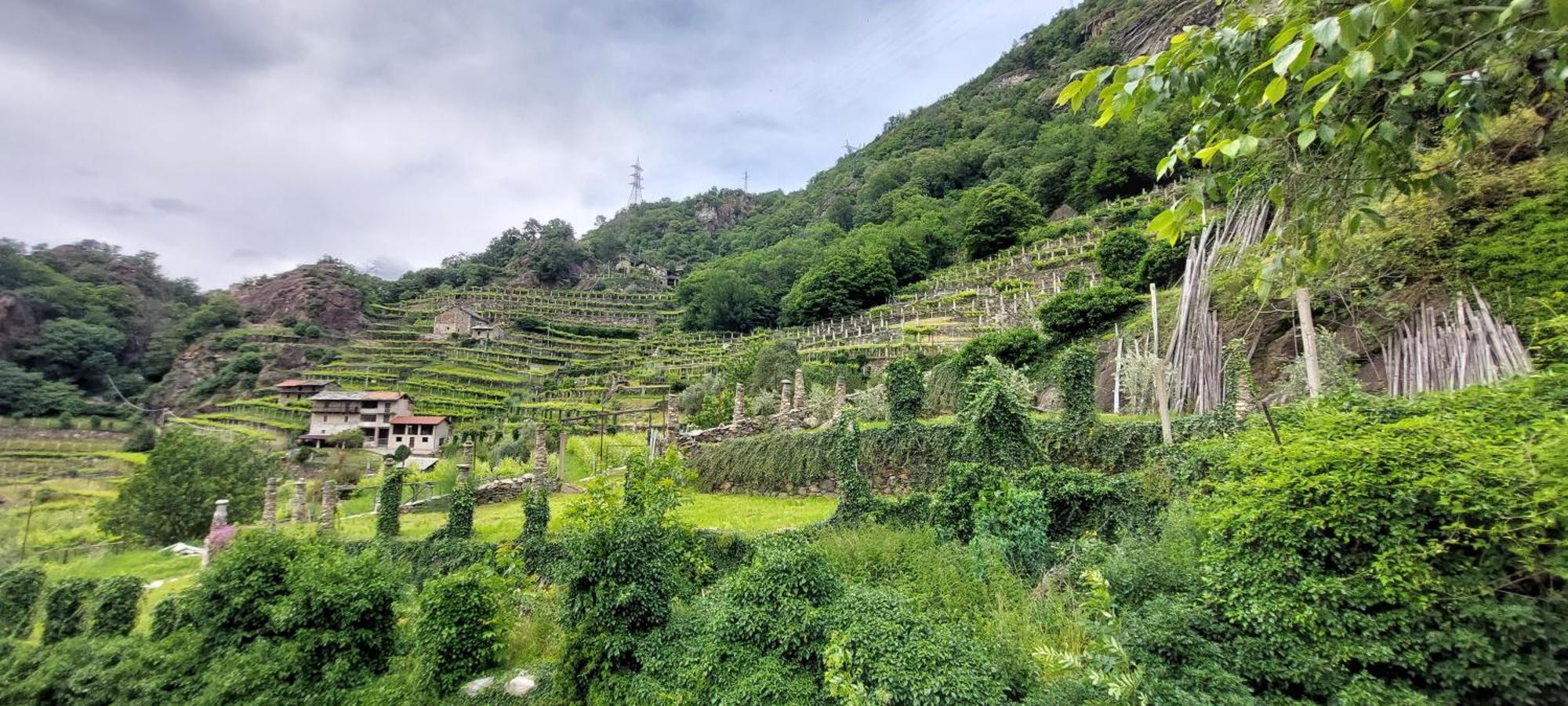 Bed and Breakfast Relais Del Brigante Settimo Vittone Екстер'єр фото