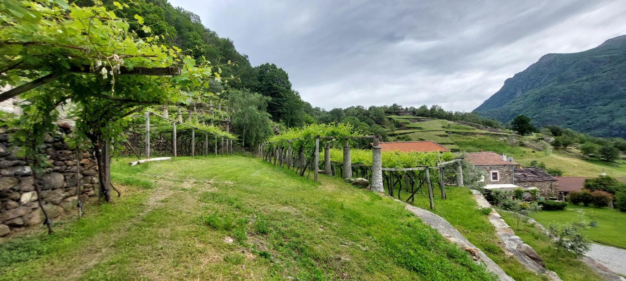 Bed and Breakfast Relais Del Brigante Settimo Vittone Екстер'єр фото