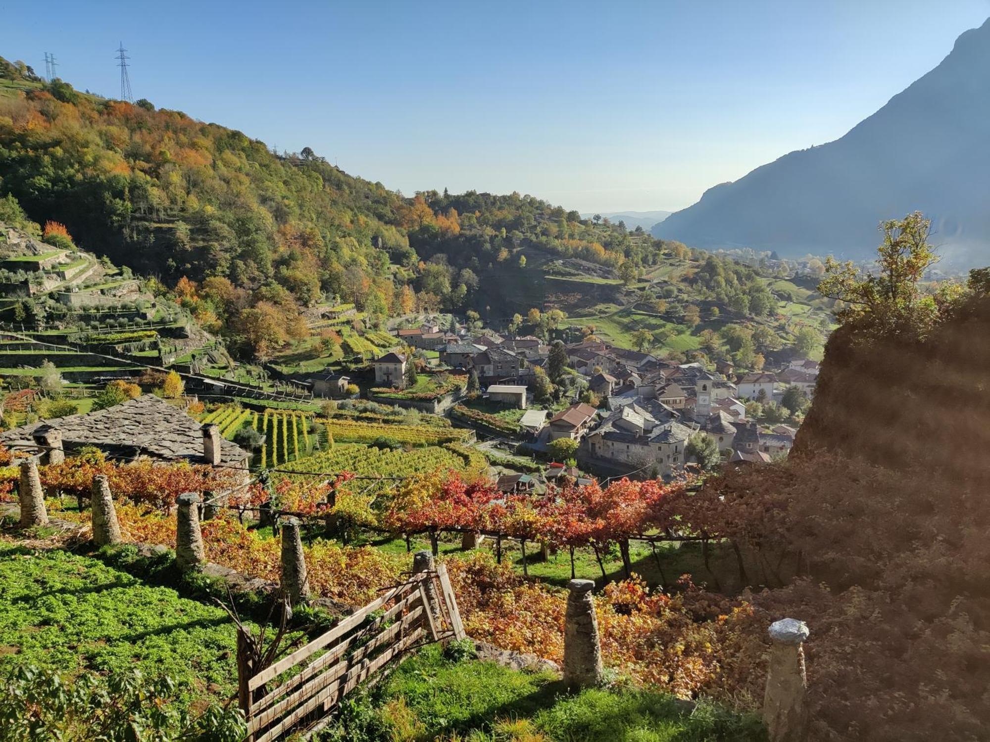 Bed and Breakfast Relais Del Brigante Settimo Vittone Екстер'єр фото