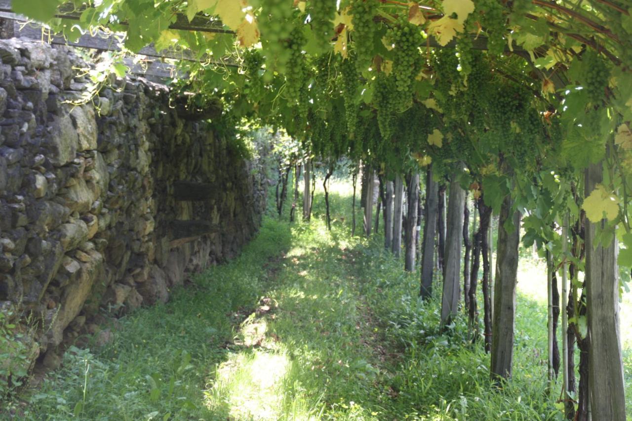 Bed and Breakfast Relais Del Brigante Settimo Vittone Екстер'єр фото